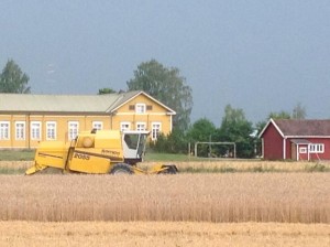 10590558_10203599738050491_466937141218781500_n